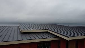 Sheet Metal Roofing in Summit View, WA